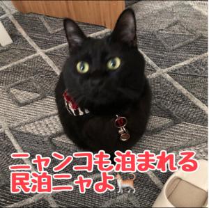 男性のみでの利用不可ーペット連れ歓迎 女性連れ専用ーotomari MUSUHIータイ古式マッサージや妊産婦ケアが受けられる 源泉掛け流し温泉側の宿 ドッグラン可