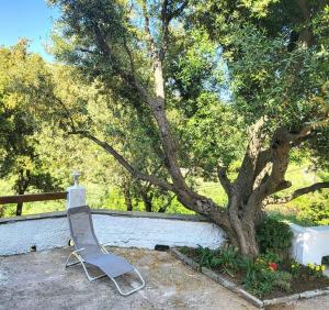 Maisons de vacances Cap Corse une villa dans un nid de verdure : photos des chambres