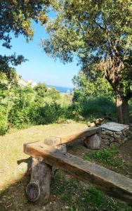 Maisons de vacances Cap Corse une villa dans un nid de verdure : photos des chambres