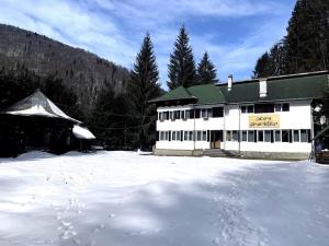 Cabana Drumetilor