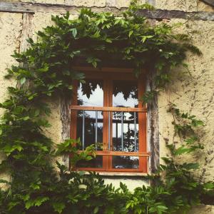Maisons de vacances Chai Gascon : photos des chambres