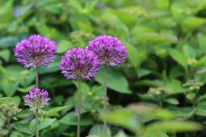 Hoogheem Erfgoed & Logies