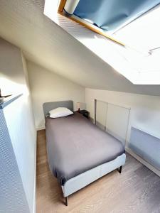 Appartements Pin's - Magnifique appartement : photos des chambres