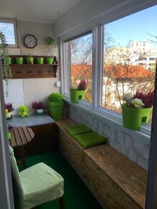 Ami-go Blizu zračne luke Zagreb