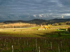 Maisons de vacances Les Vignes : photos des chambres