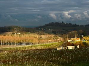 Maisons de vacances Les Vignes : photos des chambres