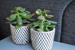 modern, gezellig vakantieappartement met ruim terras en garage in Oostende