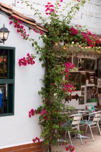 Entre Palmas Casa Hotel