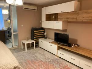 Olivia`s Studio - apartment Iasi