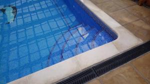 Monktonmead Lodge in secluded setting, with private indoor pool.