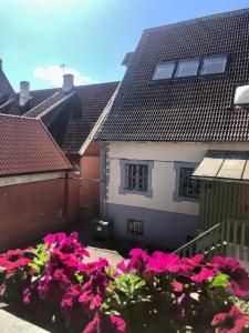 Kuninga Holiday Apartment