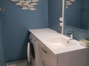 Appartements Appartement T2bis proche centre, 4-6 pers, parking - FR-1-234-297 : photos des chambres