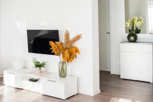 Apartment dream view