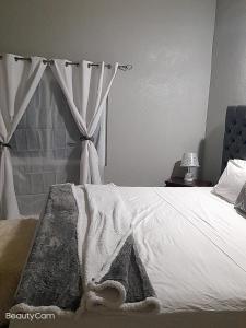 Waterloo suites apartment