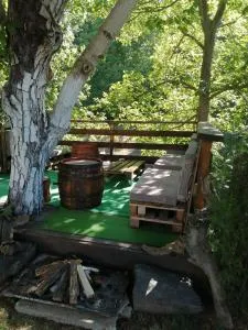 Domaćinstvo Trifunović - Ravni