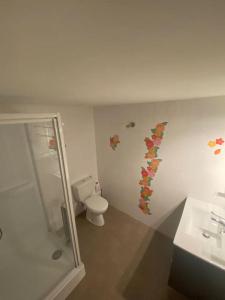 Appartements Gite 4 pers Le Tholy avec piscine privee : photos des chambres