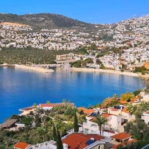 Havuzu dışarıdan görünmeyen jakuzili özel havuzlu lüks villa