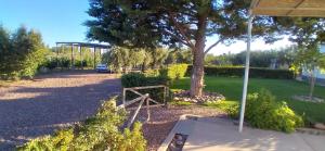 Boutique Vineyard and Wine Lodge