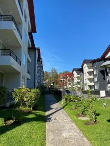 Lindo y Comodo Departamento Pucon