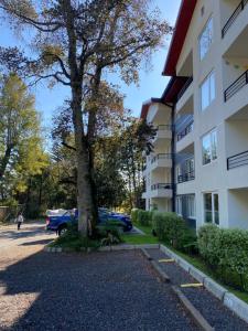 Lindo y Comodo Departamento Pucon