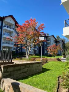 Lindo y Comodo Departamento Pucon