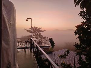 โดม มองโก แสงเพ็ญ