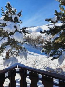 Appartements LE REFUGE LES 2 ALPES 1800 : photos des chambres