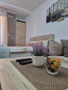 Apartman Temida Lux