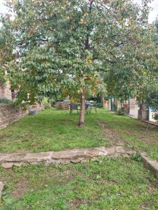 Appartements Le Mas du Galibot Gite Barulaire : photos des chambres