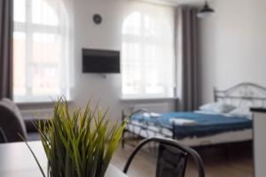 Apartament Łazienna 9 3