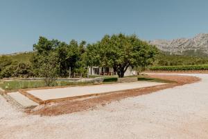 Villas La Bastide Blanche au coeur des vignes Maison MIP : photos des chambres