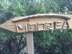 F2 vue mer dans résidence avec piscine