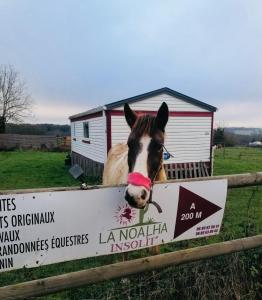 Sejours a la campagne LA NOALHA INSOLIT' : photos des chambres