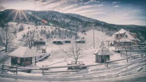 Accommodation in Zlatibor