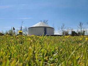 Campings Camping a la ferme - Hebergements insolites : Bungalow avec Terrasse