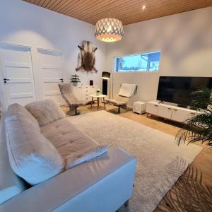 Gorgeous Arctic Lodge