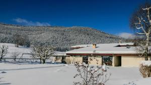 Hotels Logis Le Vernay : photos des chambres