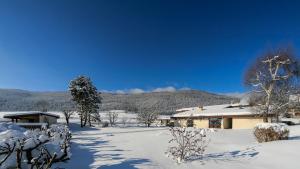 Hotels Logis Le Vernay : photos des chambres