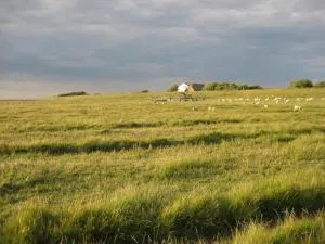 Hof Rickelsbüll - Nordseeurlaub auf dem Biobauernhof - Højer