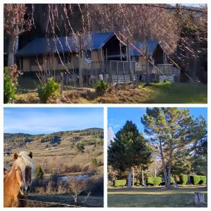 Chalet et mobil homes dans la montagne au Camping les Sapins