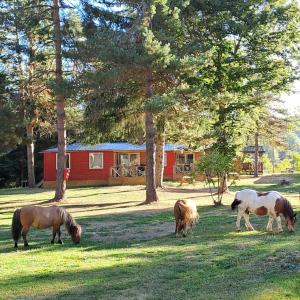 Chalet et mobil homes dans la montagne au Camping les Sapins