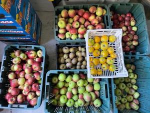 Agriturismo Fattoria Togonegro