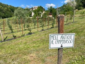 Agriturismo Fattoria Togonegro
