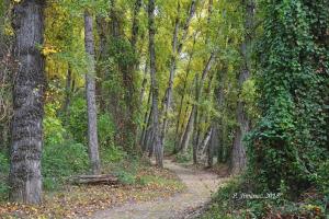 La Casa del Río, piscina natural a 5 min en coche