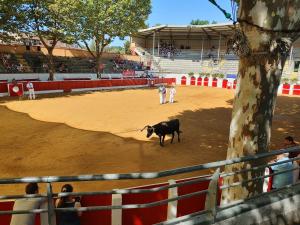 B&B / Chambres d'hotes Nogapatio - Maison d'Hotes - BnB : photos des chambres