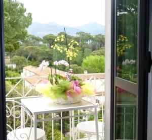 Standard Single Room with Mountain View room in Hotel Acapulco