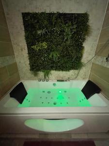 Appartements Velours & Balneo : photos des chambres