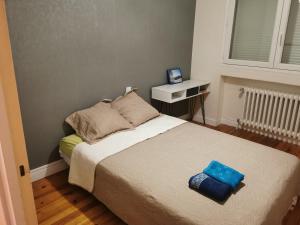 Velay cocon appartement 4 chambres avec vue sur les monuments