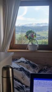 Agroturystyka w Maruszynie