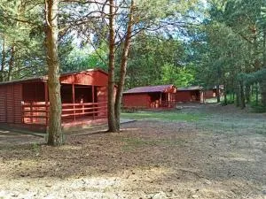 Harcerski Ośrodek Wypoczynkowy w Cichem - Osetno